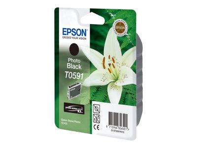 Epson T0591
